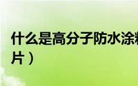 什么是高分子防水涂料（什么是高分子树脂镜片）