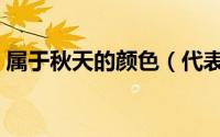 属于秋天的颜色（代表秋天的颜色都有哪些）