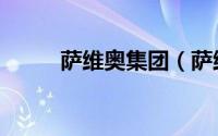 萨维奥集团（萨维奥拉板材评测）