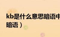 kb是什么意思暗语中文翻译（kb是什么意思暗语）