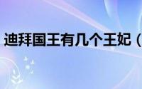迪拜国王有几个王妃（迪拜有国王还是总统）
