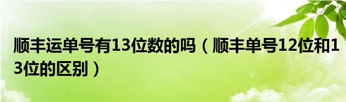 顺丰运单号有13位数的吗（顺丰单号12位和13位的区别）