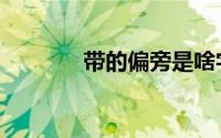 带的偏旁是啥字（带的偏旁）