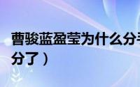 曹骏蓝盈莹为什么分手（曹骏和蓝盈莹为什么分了）
