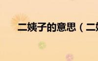 二姨子的意思（二姨子啥意思东北话）