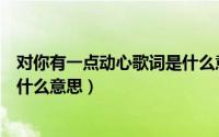 对你有一点动心歌词是什么意思呀（对你有一点动心歌词是什么意思）