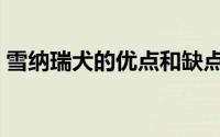雪纳瑞犬的优点和缺点（雪纳瑞十个优缺点）