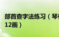部首查字法练习（琴有没有部首查字法怎么查12画）