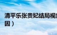 清平乐张贵妃结局视频（清平乐张贵妃下线原因）