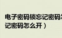 电子密码锁忘记密码怎么打开（电子密码锁忘记密码怎么开）