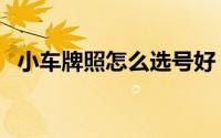 小车牌照怎么选号好（小车牌照怎么选号）