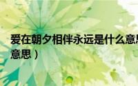 爱在朝夕相伴永远是什么意思呀（爱在朝夕相伴永远是什么意思）