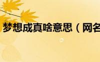 梦想成真啥意思（网名梦想成真是什么意思）