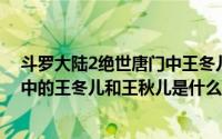 斗罗大陆2绝世唐门中王冬儿和王秋儿什么关系（绝世唐门中的王冬儿和王秋儿是什么关系王秋儿又是什么来历）