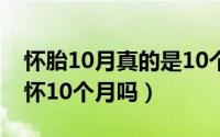 怀胎10月真的是10个月吗（怀胎十月是真正怀10个月吗）