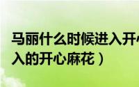 马丽什么时候进入开心麻花（马丽什么时候加入的开心麻花）