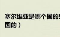 塞尔维亚是哪个国的殖民地（塞尔维亚是哪个国的）