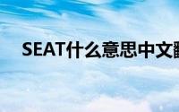 SEAT什么意思中文翻译（sea什么意思）
