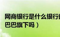 网商银行是什么银行的下属（网商银行是阿里巴巴旗下吗）