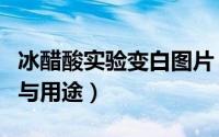 冰醋酸实验变白图片（冰醋酸在实验室的作用与用途）