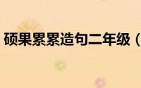 硕果累累造句二年级（硕果累累造句三年级）