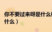 你不要过来呀是什么梗（你不要过来呀电影叫什么）