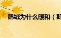 鹅绒为什么暖和（鹅绒为什么可以保暖）
