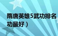 隋唐英雄5武功排名（隋唐英雄5里面谁的武功最好）