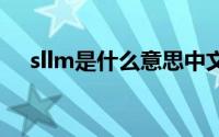 sllm是什么意思中文（slm是什么单位）