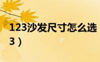123沙发尺寸怎么选（沙发一般选123还是113）