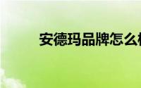 安德玛品牌怎么样（安德玛品牌）