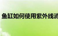 鱼缸如何使用紫外线消毒灯（鱼缸如何使用）