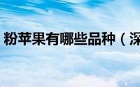 粉苹果有哪些品种（深红色苹果是什么品种）