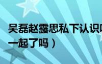 吴磊赵露思私下认识吗（吴磊和赵露思真的在一起了吗）