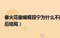 像火花像蝴蝶段宁为什么不能生育（像火花像蝴蝶段宁宁最后结局）