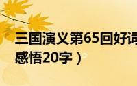 三国演义第65回好词好句（三国演义第65回感悟20字）