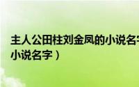 主人公田柱刘金凤的小说名字叫什么（主人公田柱刘金凤的小说名字）