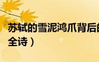 苏轼的雪泥鸿爪背后的故事（苏轼的雪泥鸿爪全诗）