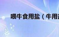 喂牛食用盐（牛用盐和食用盐的区别）