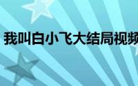 我叫白小飞大结局视频（我叫白小飞大结局）