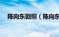 陈向东剧照（陈向东是哪个电视剧里的）