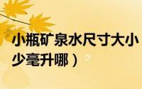小瓶矿泉水尺寸大小（矿泉水小中大瓶各有多少毫升哪）