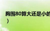 胸围80算大还是小的（上胸围80算大还是小）