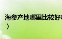 海参产地哪里比较好呢（海参产地哪里比较好）