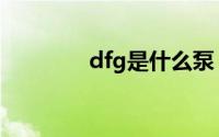 dfg是什么泵（dfg是什么）
