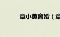 章小蕙离婚（章小蕙婚姻经历）
