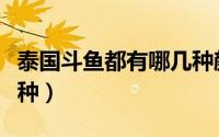 泰国斗鱼都有哪几种颜色（泰国斗鱼都有哪几种）