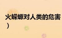 火蝾螈对人类的危害（火蝾螈是几级保护动物）
