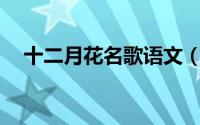 十二月花名歌语文（12月的花名歌课文）