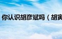 你认识胡彦斌吗（胡寅寅与胡彦斌是父子吗）